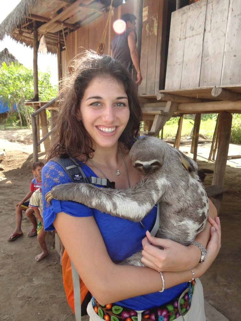 Journey to the amazon, sloth