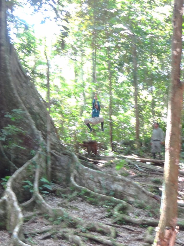 Woman swinging from a tree with huge roots in the Amazon