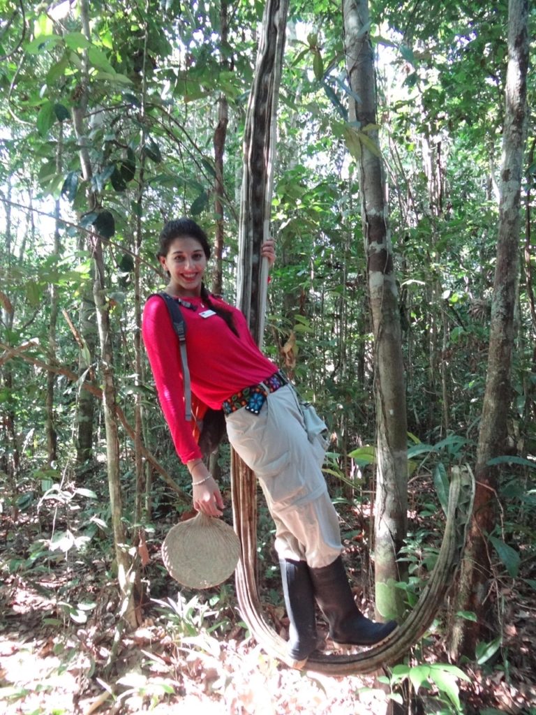 Journey to the amazon rainforest