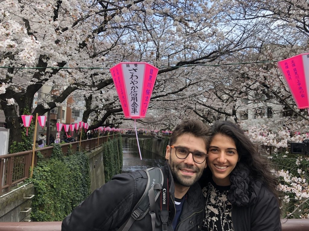 Couple on their honeymoon in Japan on bridge with blooming sakuras on both sides 
