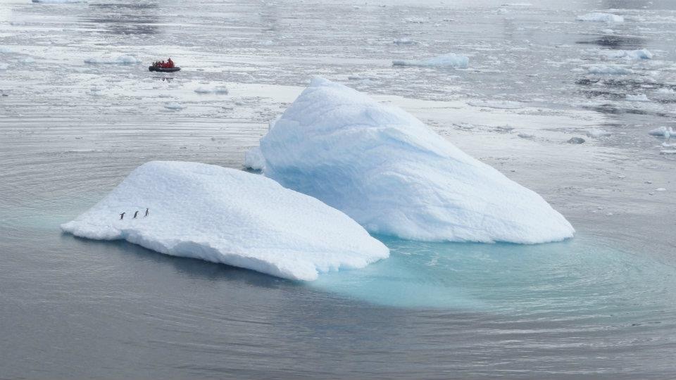 Penguins on iceberg