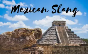 Mexican slang words like guey