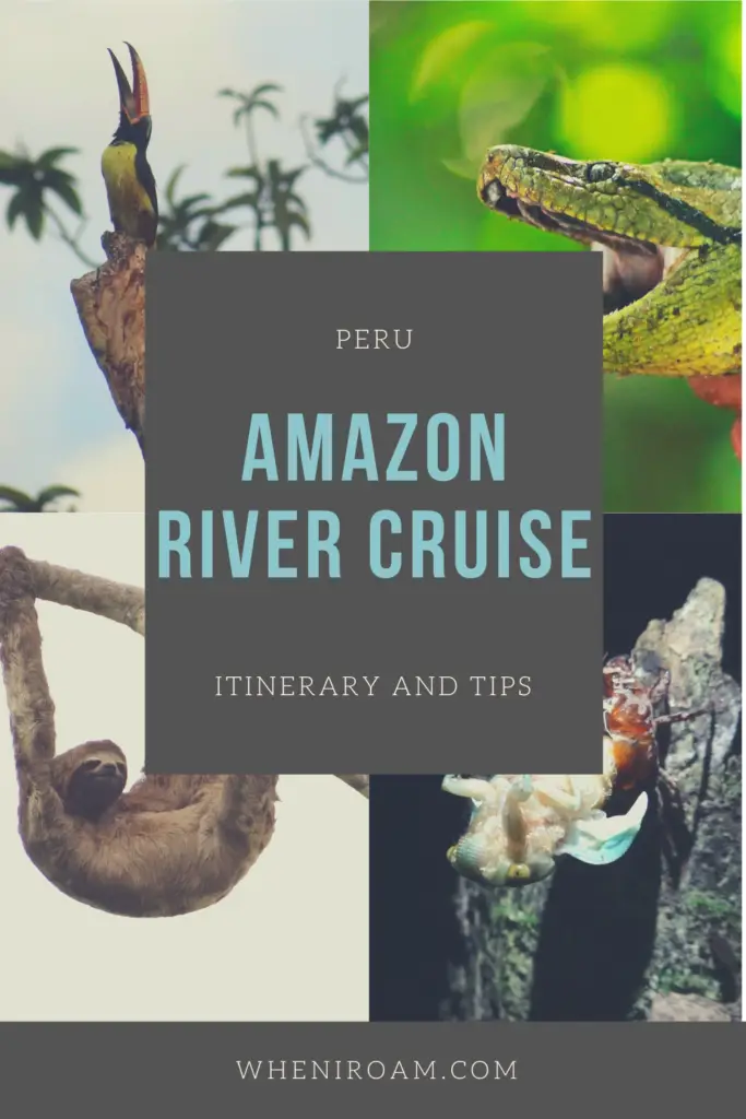 Amazon river cruise, sloth, anaconda, toucan