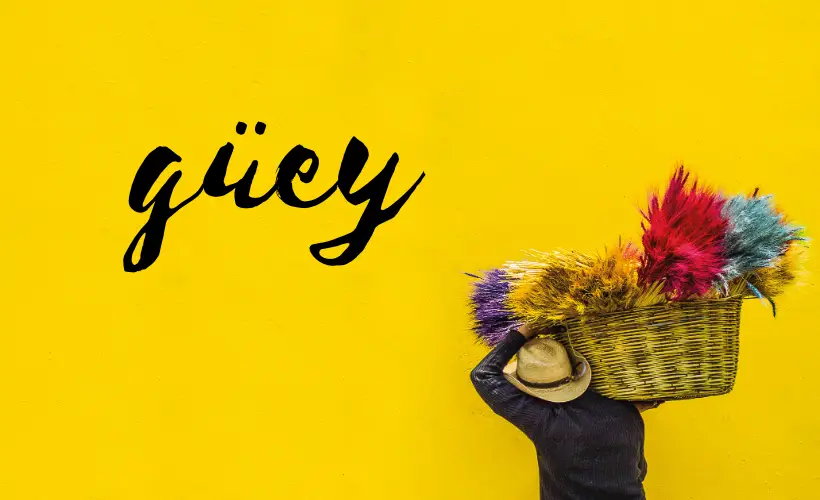 what does guey mean