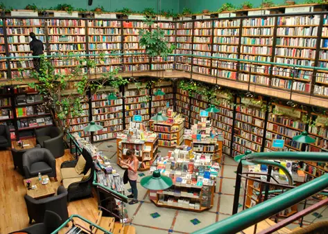 Best cafes mexico city