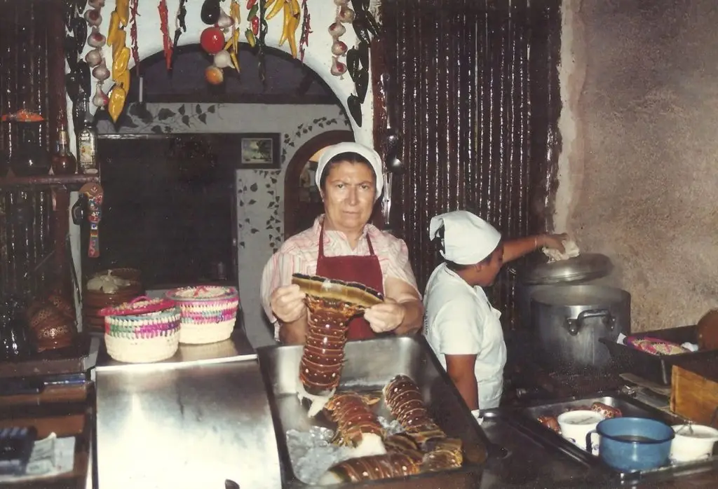 Best places to snorkel in Cozumel, where to eat after a day of adventure 