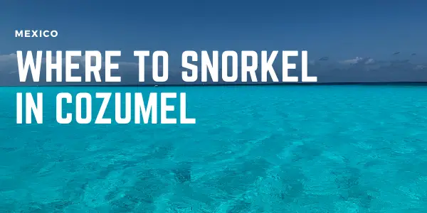 Best places to snorkel in cozumel, where to see turtles