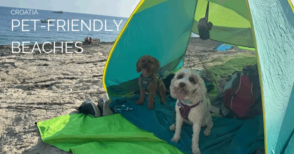 Featured image in post with text that reads Pet friendly beaches in Croatia and the background is two dogs in a green beach tent