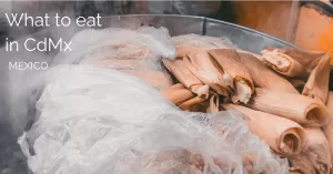Tamales with the text what to eat in mexico city abbreviated as cdmx