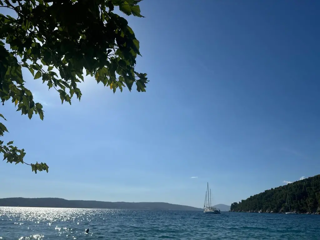 view of some tree leaves and a sail boat in the cove in Kasjuni beach 