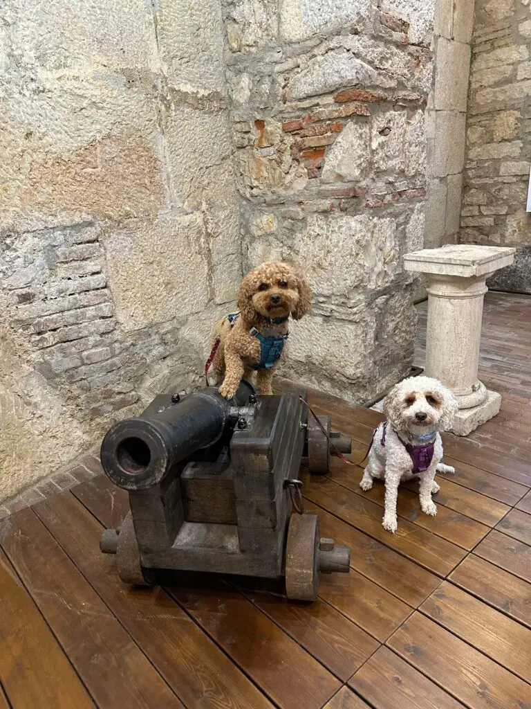 Finding hidden castles is why you should roadtrip around Croatia