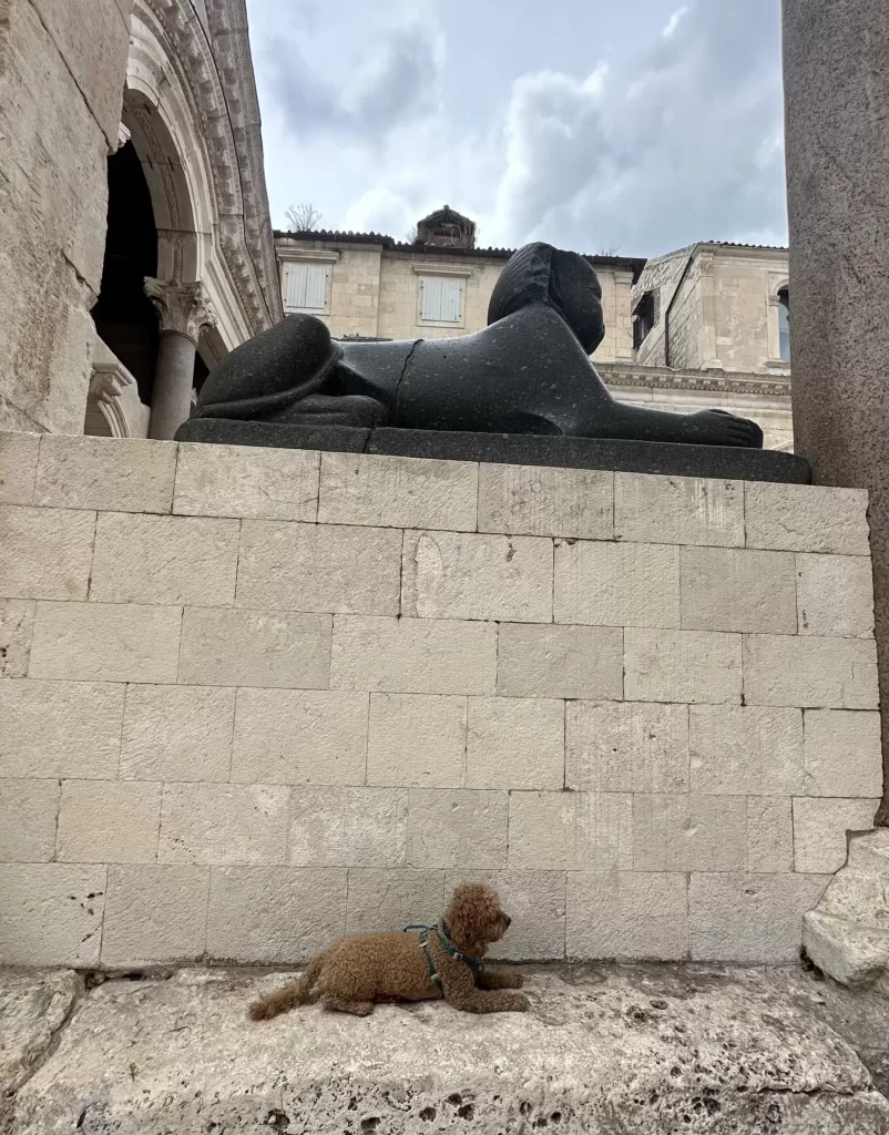 Brown dog posing in the same way as the black sphinx above in dioceletian’s palace in split