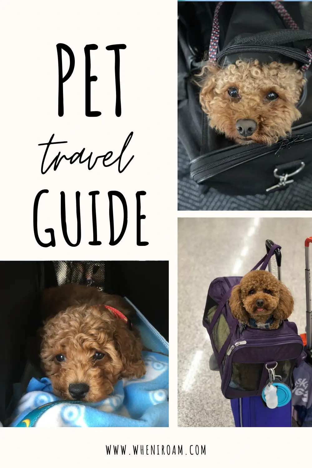 Pinterest with text that reads Pet Travel guide with three photos of Mishka the dog in a carrier