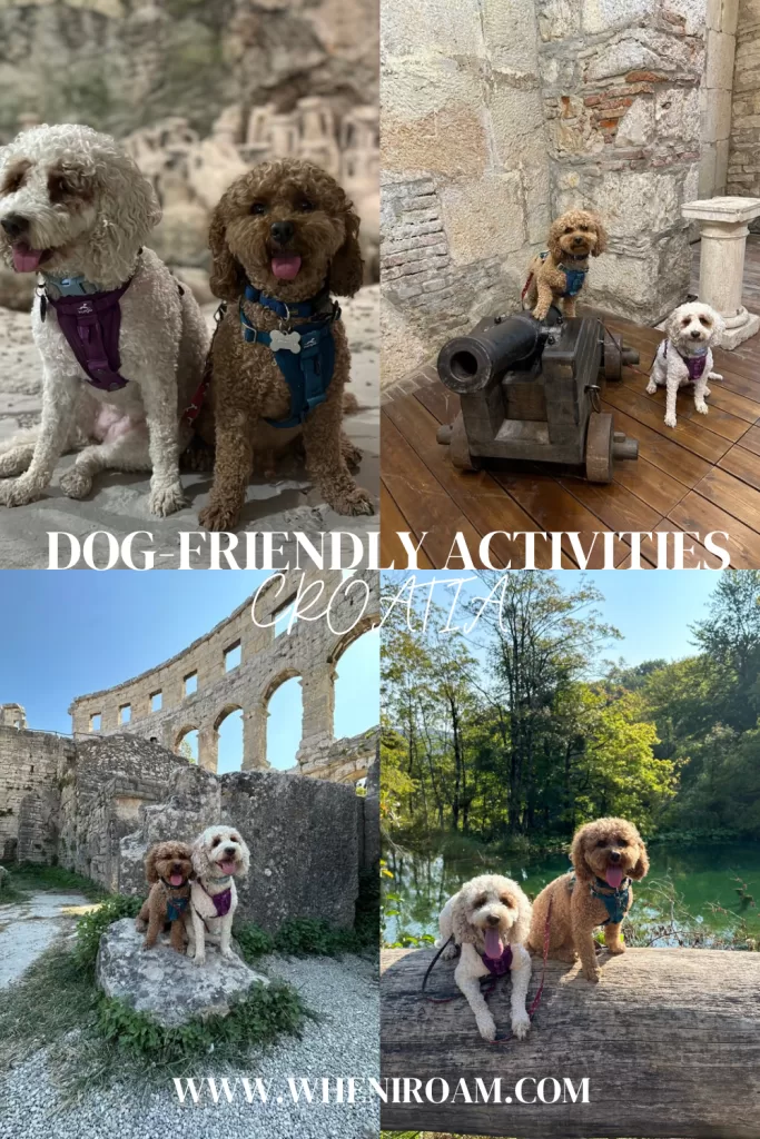 Pinterest post on best dog friendly activities in croatia