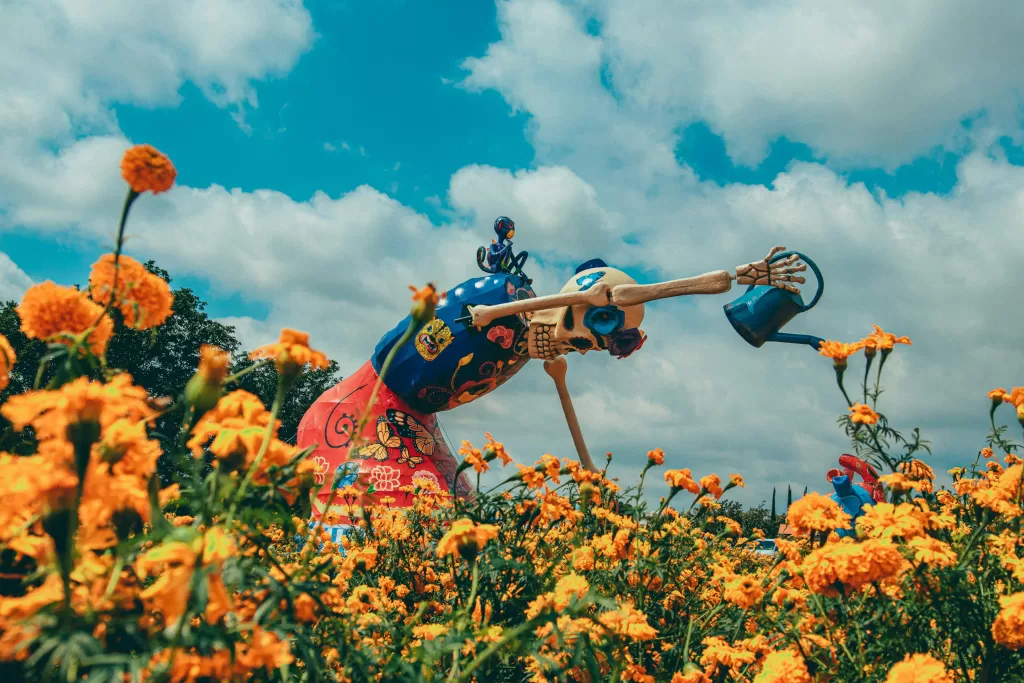 Catrina over a field of cempasuchil for day of the dead in xochimilco mexico city