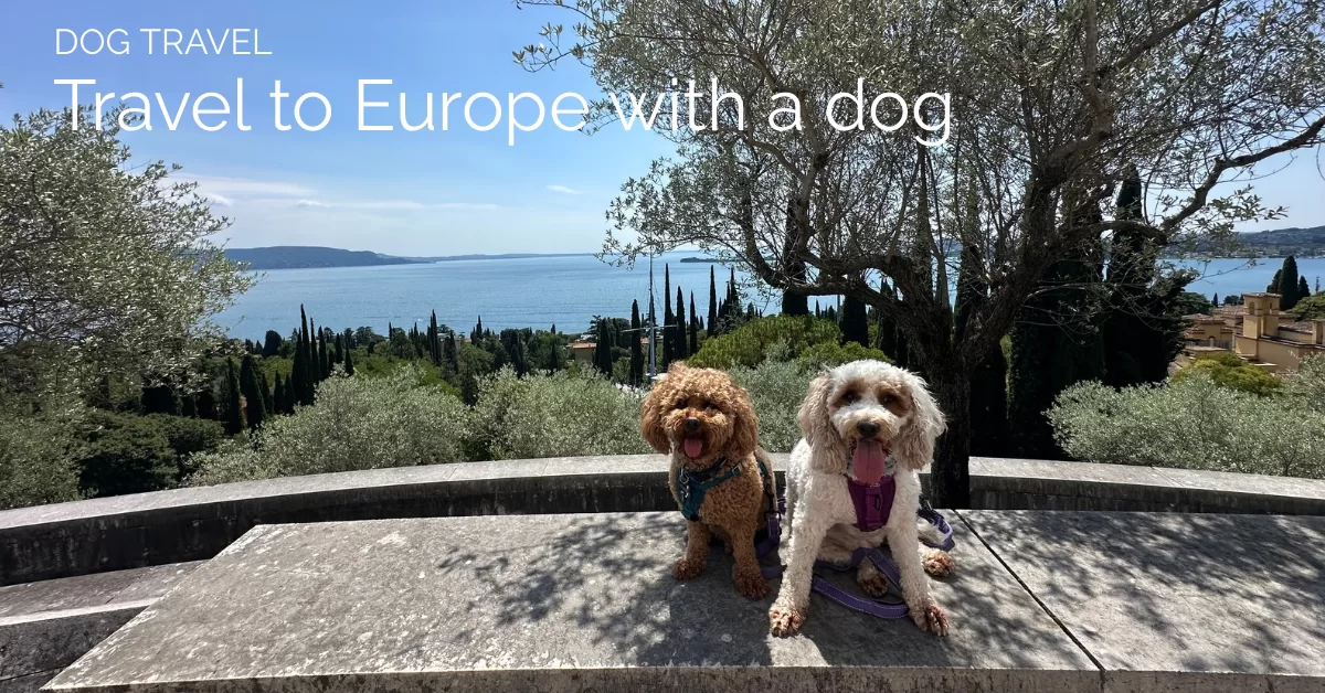 Featured image for post with two dogs, mishka and lilo, with lago di garda in the background and the text reads travel to europe with a dog
