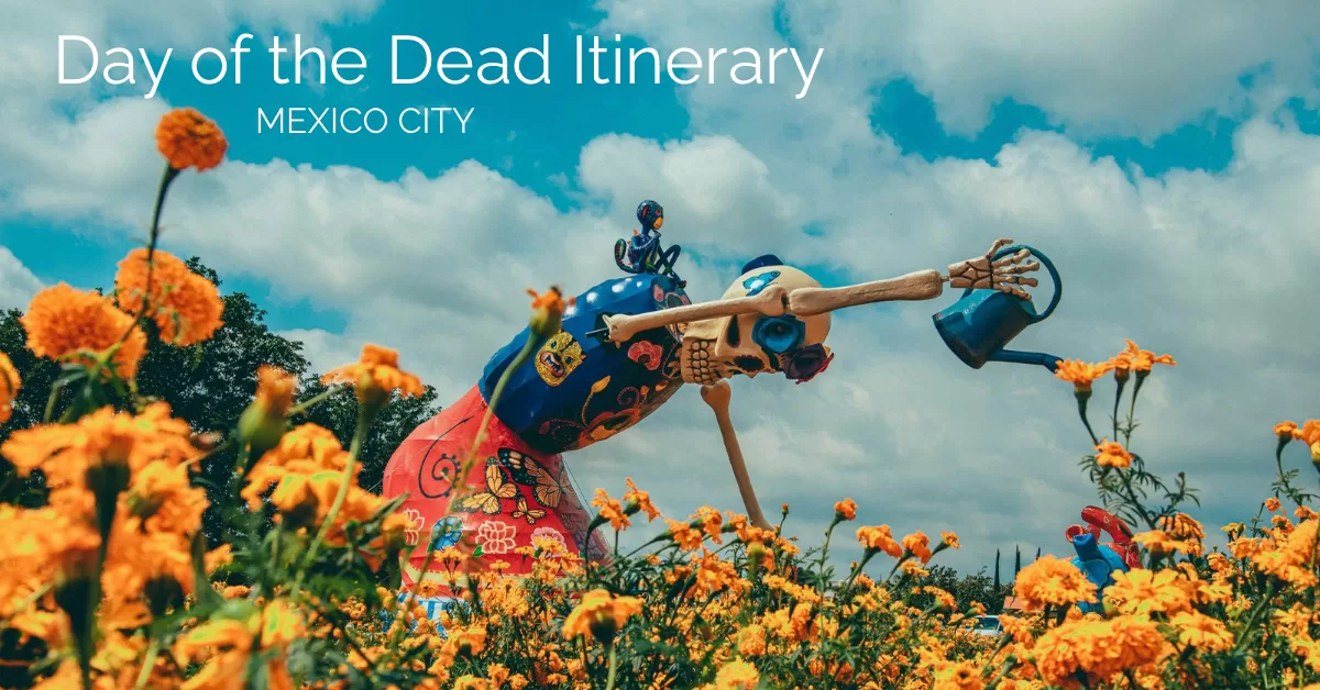 Featured image of a huge catrina bending over cempasuchil field with the text day of the dead itinierary mexico city