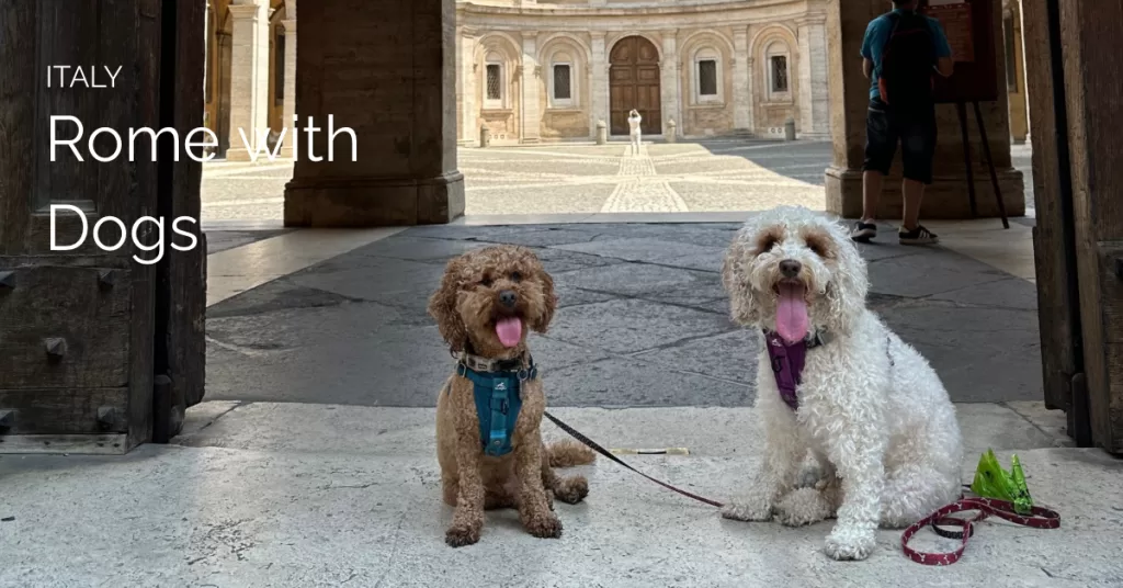 To dogs in a doorway in rome with the text that reads italy and rome with dogs