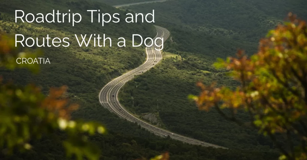 How to travel croatia by car with a dog featured image with a road in Croatia and the text reading roadtrip tips and routes with a dog croatia