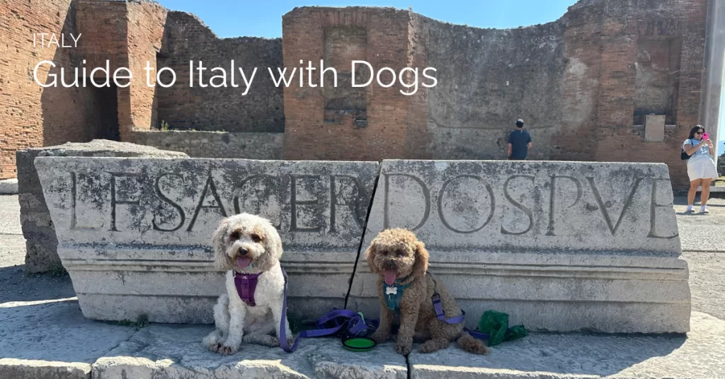 Featured image with two dogs and the text guide to italy with dogs for traveling italy with dogs