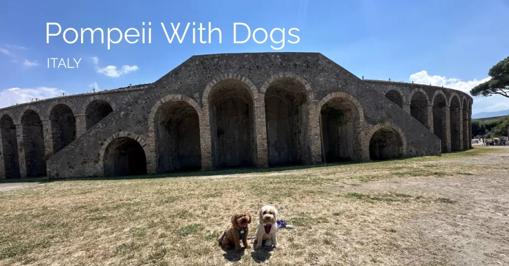 Featured image of two dogs in front of the pompeii amphitheater with the text that reads Pompeii with dogs and Italy underneath