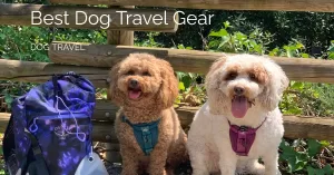 Featured image of post with my two dogs one brown and one white wearing kurgo crash tested harnesses with the text readign best dog travel gear and underneath dog travel
