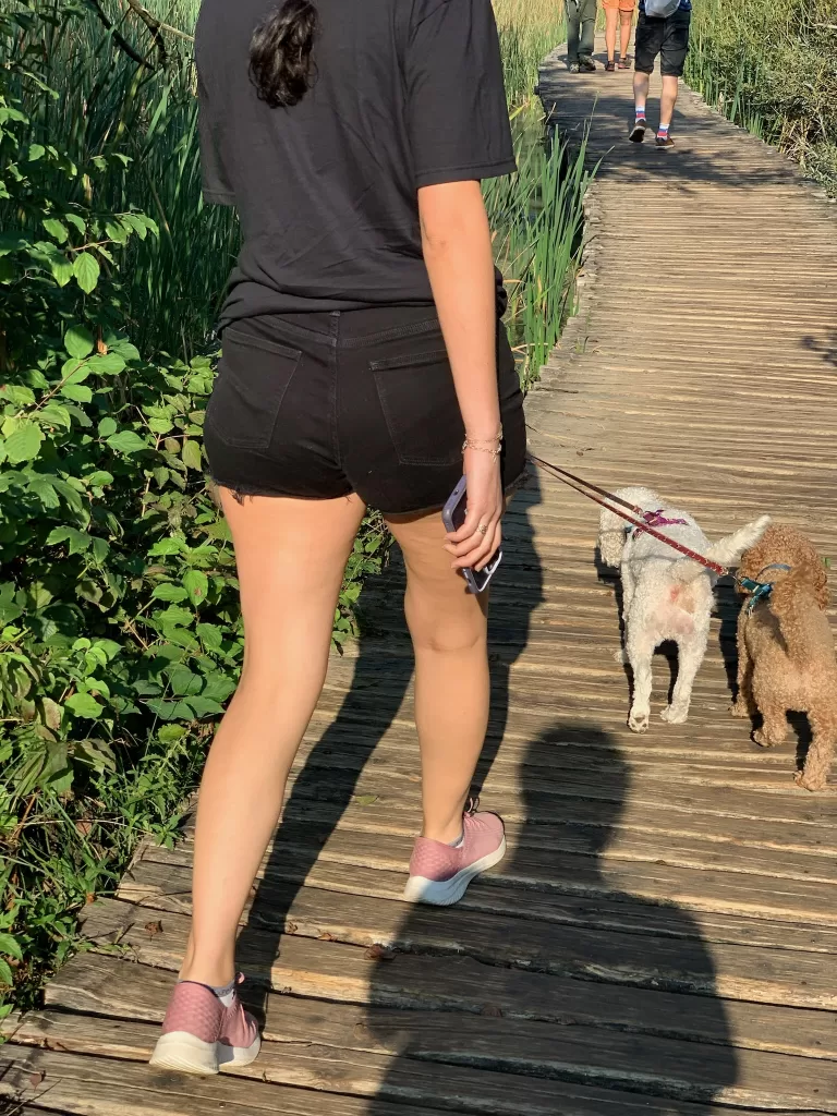 Woman walking two dogs on wooden boardwalk in Plitvice Croatia