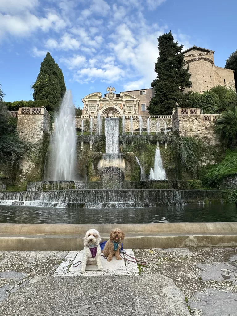 Tivoli gardens fountain with two dogs, mishka and Lilo