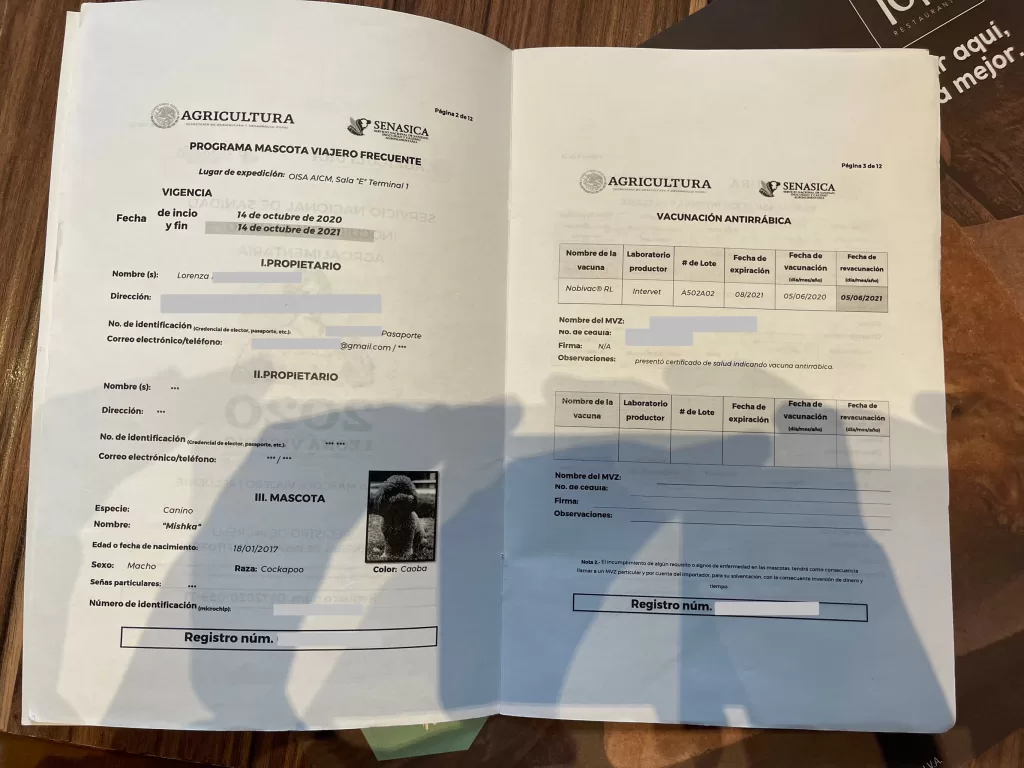 Programa mascota vajero frecuente for traveling to mexico with a dog 