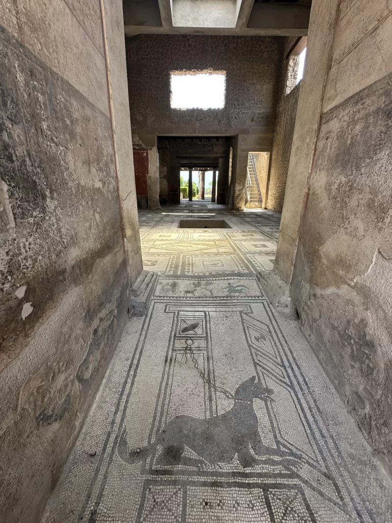 Dog mural at the House of Paquius Proculus in Pompeii