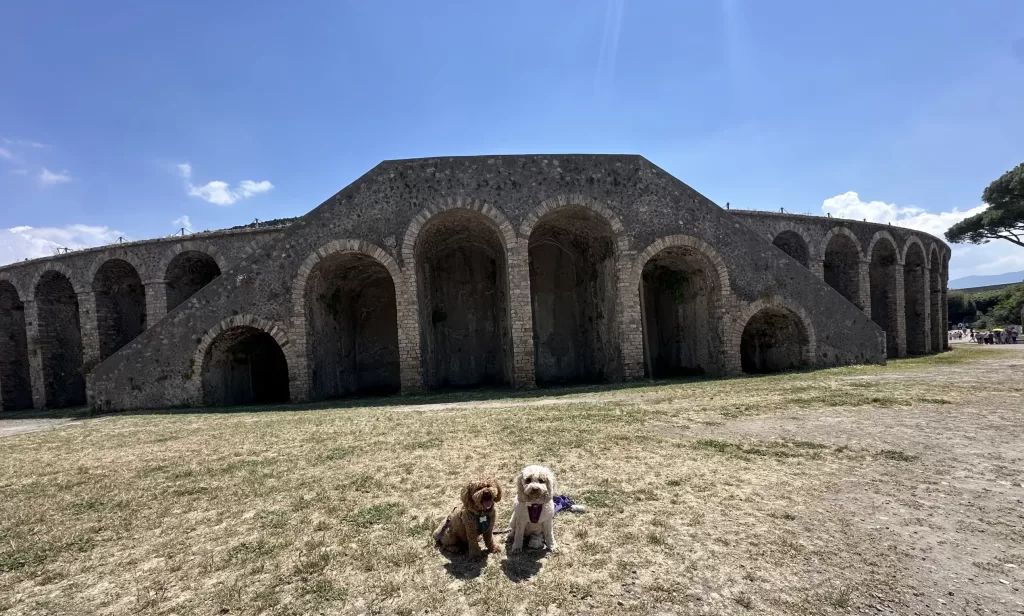 Mishka and Lilo posing in front of the Pompeii Amphitheater
