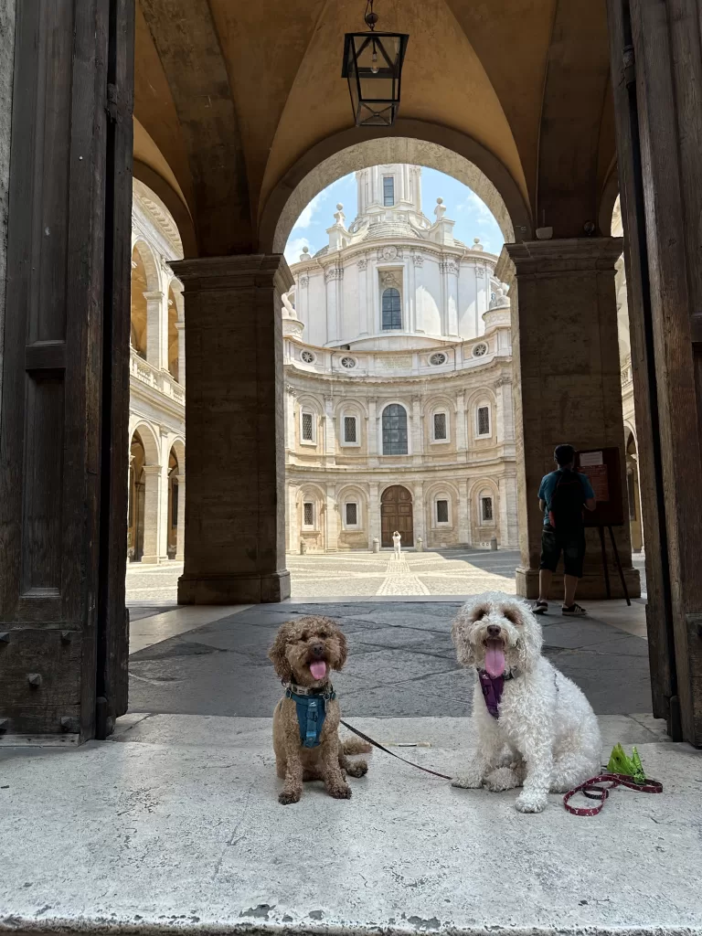 Dogs on a framed doorway with a hidden gem of Rome found while walking rome with my dogs