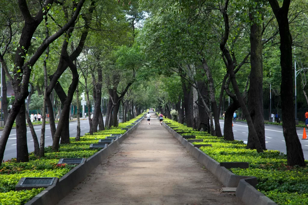 Pedestrian walkway in Reforma in Bosque de Chapultepec in Polanco Mexico City