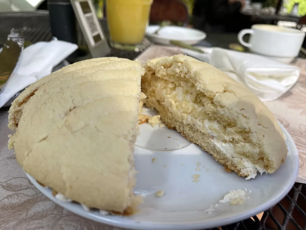 Concha, mexican sweet bread, filled with nata