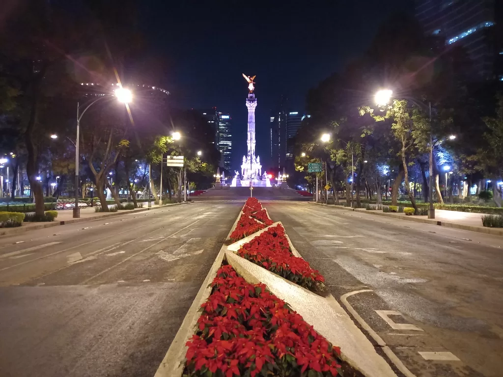 Nochebuena flowers or poinsettas decorating pase de la reforma with the angel de la independencia in the background in mexico city